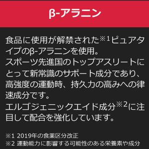 箱売り AMINO SAURUS アミノサウル...の詳細画像3