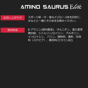 箱売り AMINO SAURUS アミノサウル...の詳細画像5