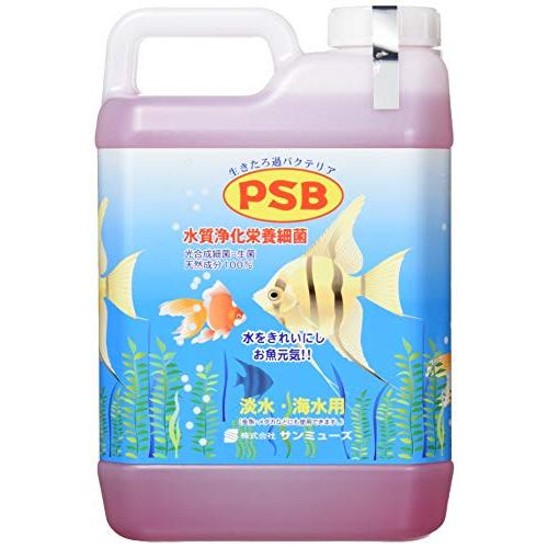 サンミューズ PSB 2.1L