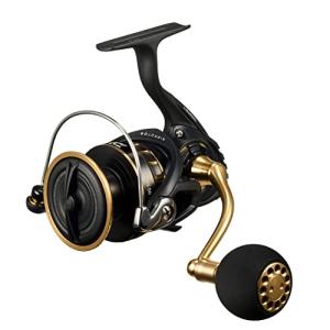 ダイワ(DAIWA) スピニングリール 23BG SW 4000*18000番 各種 (2023年モデル)｜sterham0021