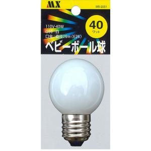 日立（HITACHI） ナイスボールV 100W 電球形蛍光ランプ EFA22EN : St