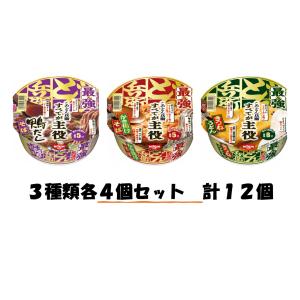 訳あり『賞味期限24.5/29〜』日清食品　日清の最強どん兵衛・かき揚げそば・鴨だしそば・きつねうどん３種各４個セット　計１２個　送料無料(沖縄、離島不可）　