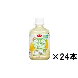 賞味期限23.12.3　POM　愛媛河内晩柑ゼリー295gペット24本入り　送料無料　北海道　九州を除く（沖縄、離島不可）