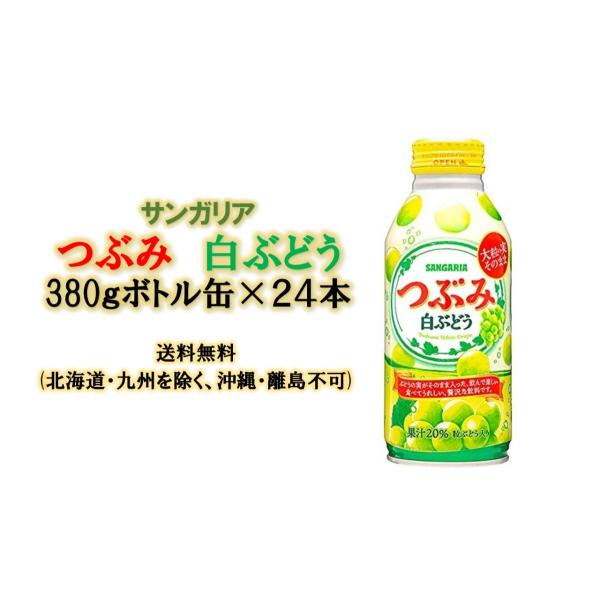 サンガリア　つぶみ　白ぶどう380ｇボトル缶×24本　送料無料(北海道・九州を除く、沖縄・離島不可)