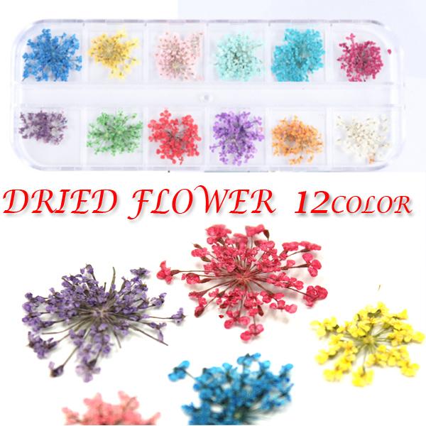 押し花 レジン ドライフラワー ドライフラワーセット ＵＶレジンクラフト レジン用 ネイル用 デコ用