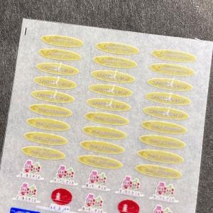 西日本特急インレタ(Nゲージ)の詳細画像5