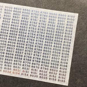 8000・8300系メタリック車番1(8000...の詳細画像2