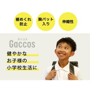 スクール 水着 セパレート 上下 女児 女の子...の詳細画像1