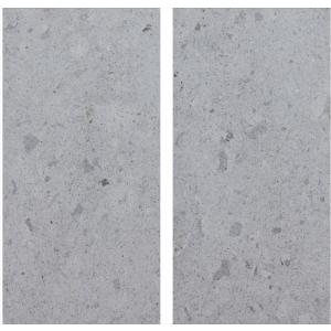 秋保石　敷石①【引き渡しのみ】 秋保石 300×600×20mm ダイヤ切 2枚セット （送料無料） : 関ヶ原石材
