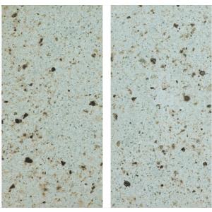 札幌軟石 300×600×20mm ダイヤ切 2枚セット （送料無料） : 関ヶ原