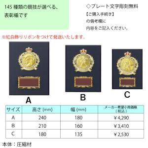 ATZ-4433C 表彰タテ 高さ18cm 【...の詳細画像1