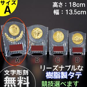 CCL-5553A 　タテ　 高さ18cm 　トロフィー　優勝カップ　卒団　卒業　記念品　野球　サッカー　　ゴルフ　記念品　競技選択　フレア　アクリル製　CBL-5553A｜ショップスリーラック