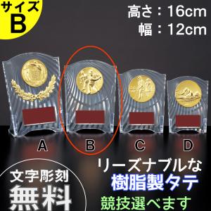 CCL-5553B 　タテ　 高さ16cm 　トロフィー　優勝カップ　卒団　卒業　記念品　野球　サッカー　　ゴルフ　記念品　競技選択　フレア　アクリル製　CBL-5553B｜ショップスリーラック