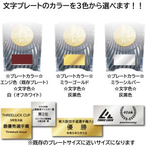 CCL-5553B タテ 高さ16cm トロフ...の詳細画像2