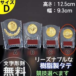 CCL-5553D 　タテ　 高さ14cm 　トロフィー　優勝カップ　卒団　卒業　記念品　野球　サッカー　　ゴルフ　記念品　競技選択　フレア　アクリル製　CBL-5553D｜ショップスリーラック