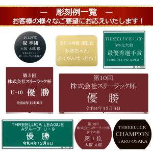 ▲プレートのみ販売▲ 黒プレート 両面テープ付...の詳細画像4