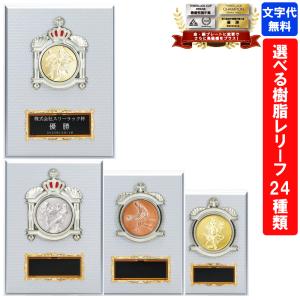 表彰楯　KV-7424　Aサイズ〜Dサイズ<br>【文字代無料】金　銀　銅　ゴールドシャチ<br>優勝カップ　卒団　卒業　記念品