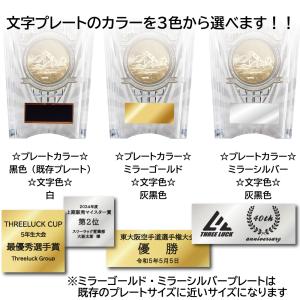 表彰楯 KV-7458 Aサイズ〜Cサイズ 【...の詳細画像3