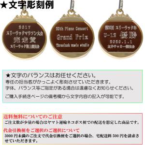 LF-40B メダル Pペットケース 金属メダ...の詳細画像1
