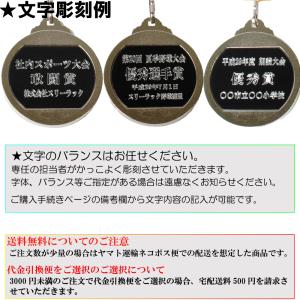 LF-46B 表彰 メダル Pペットケース サ...の詳細画像2