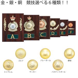 【記念メダル】表彰記念品 田宮賞 銅賞 S-6060F タテ 楯 高さ15cm ワールドイーグル 卒団 卒業 記念品 表彰