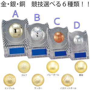 S-6061C　タテ　楯　高さ13.5cm　ワールドイーグル　卒団　卒業　記念品　表彰　サッカー　野球　S-6297C