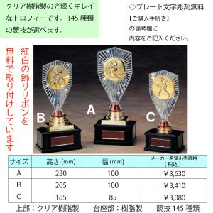 TRZ4393A トロフィー 高さ23cm サ...の詳細画像1