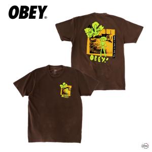 OBEY オベイ YOU HAVE TO HAVE A DREAM CLASSIC PIGMENT T-SHIRT 163813739 半袖Tシャツ TEE メンズ グラフィック バックプリント 正規取扱店｜stitch-2004