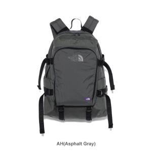 THE NORTH FACE PURPLE L...の詳細画像1