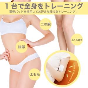 残りわずか なくなり次第終了 ストレッチボード...の詳細画像3