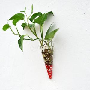 円錐形 透明 ガラス製 花瓶 吊下げ ハンギン...の詳細画像1