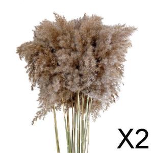 パンパスグラス 花瓶の商品一覧 通販 Yahoo ショッピング