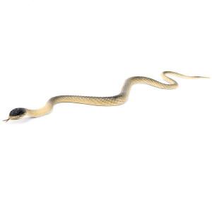 蛇 おもちゃ 動くの商品一覧 通販 Yahoo ショッピング