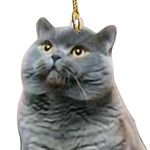 カーペンダント ファニーカーアクセサリー テー...の詳細画像3