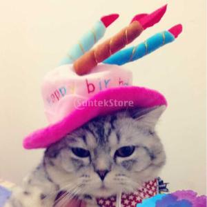 ノーブランド品小型犬　ペット　猫　幸せな誕生日　パーティー　キャンドル　かわいい　キャップ　帽子　カスタマー　コスプレ