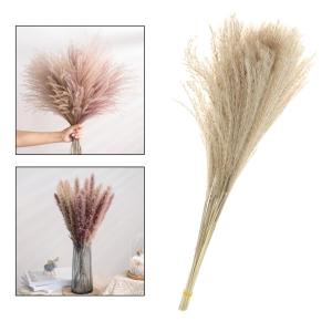 パンパスグラス 花瓶 造花 アートフラワー の商品一覧 花 ガーデニング 通販 Yahoo ショッピング