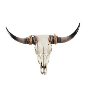 リアルなワニの頭蓋骨の置物 クリエイティブなワニの頭蓋骨の彫刻