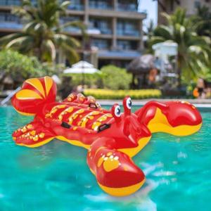 インフレータブルプールフロート水プール水泳リン...の詳細画像2