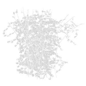 結婚式 招待状 造花 アートフラワー の商品一覧 花 ガーデニング 通販 Yahoo ショッピング