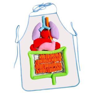 人間臓器 エプロン 3Dオルガンエプロン 人間内臓エプロン 臓器エプロン  知育玩具 教室 幼稚園教具｜STKショップ