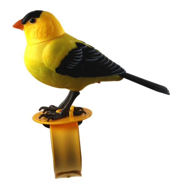 オウムペット電子玩具音声制御歌う鳥Bを話すアクティベートギフト