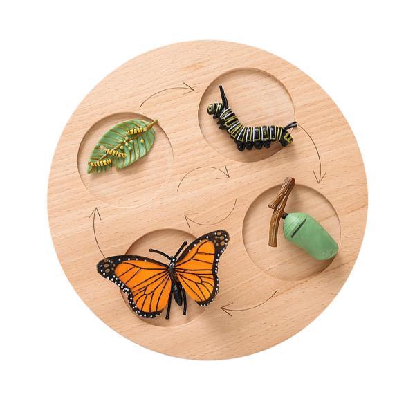 ゲームの蝶のための木製モンテッソーリ サイクル トレイ デスクトップ装飾