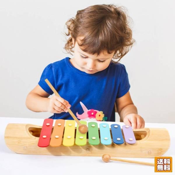 木琴 おもちゃ 教育玩具 8音木琴 色認識 音楽 モンテッソーリ 子供 打楽器 木製 木琴 ハンマー...
