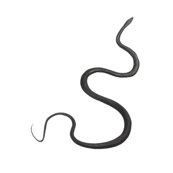 蛇の置物 おもちゃ 蛇の置物 ハロウィン ギフト 愚者の日 卓上装飾 ブラック