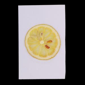 レモンスライス 花の商品一覧 通販 Yahoo ショッピング