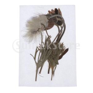 結婚式 招待状 造花 アートフラワー の商品一覧 花 ガーデニング 通販 Yahoo ショッピング