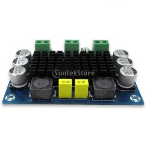 オーディオ デジタル DC 12V-24V 1...の詳細画像4