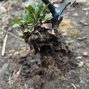手動除草機 軽量 草刈り鎌 草抜き 道具 雑草...の詳細画像3