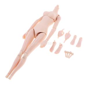 プラスチック 1/6スケール 女性ボディモデル...の詳細画像1