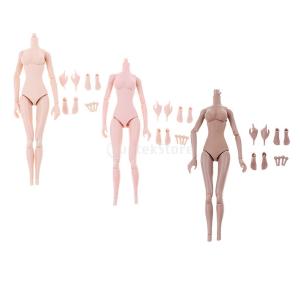 プラスチック 1/6スケール 女性ボディモデル...の詳細画像5